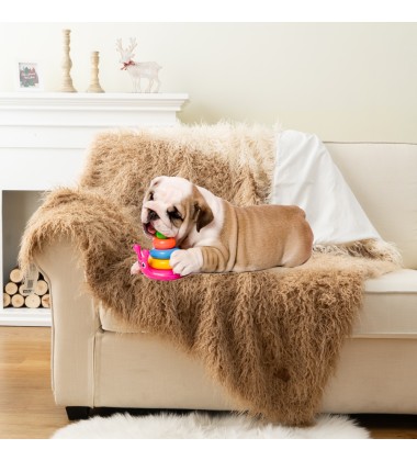 Shansi Tibetlamb Long-haired Curly Sheepskin Luxury Faux Fur Throw Blanket Long Fur Dog Blanket Pet Throws